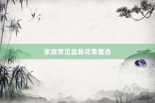 家庭常见盆栽花草推选